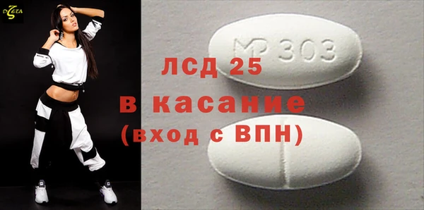 хмурый Абаза