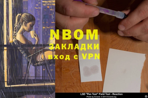 2c-b Алзамай