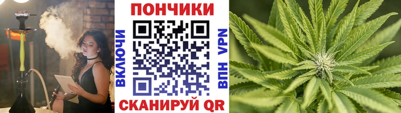 Каннабис OG Kush  Черепаново 